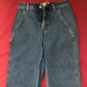 Everlane Women's Utility Barrel Pant in New Blue, Size 25